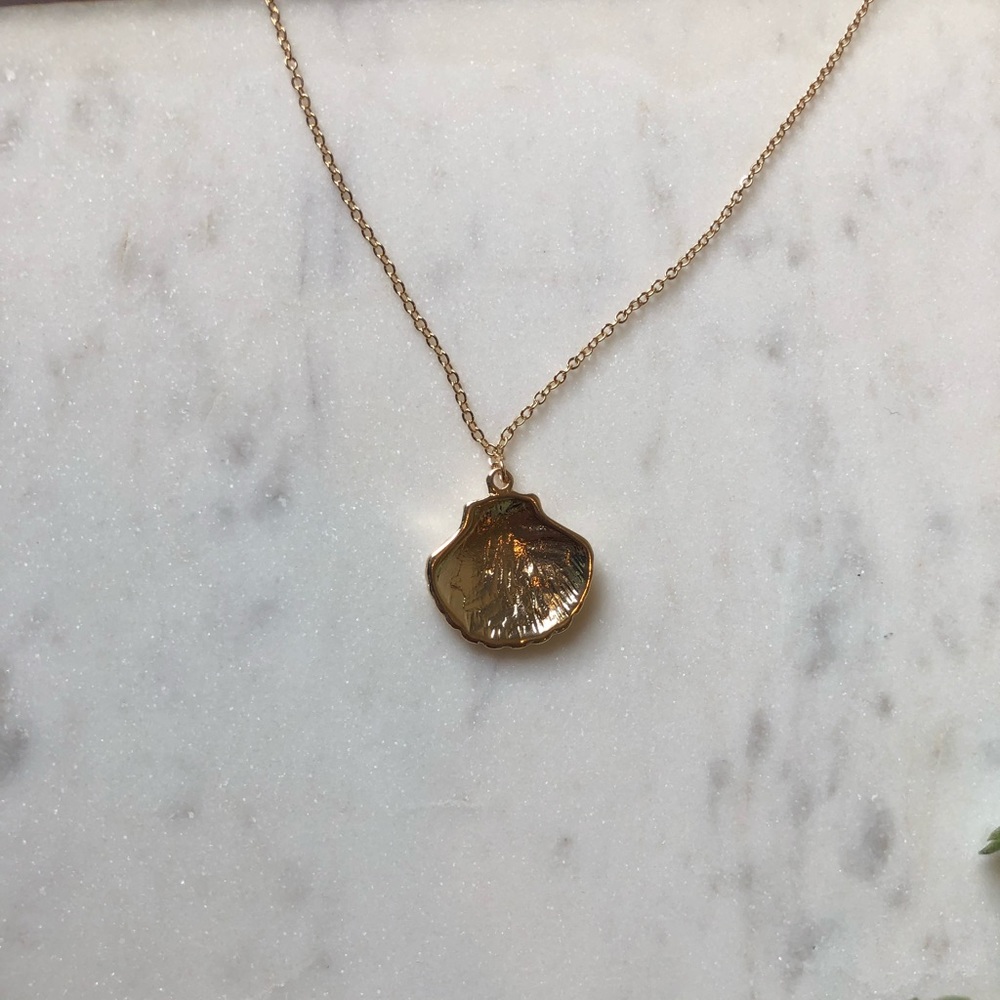 Scallop Seashell Pendant Necklace - Picture 4 of 4